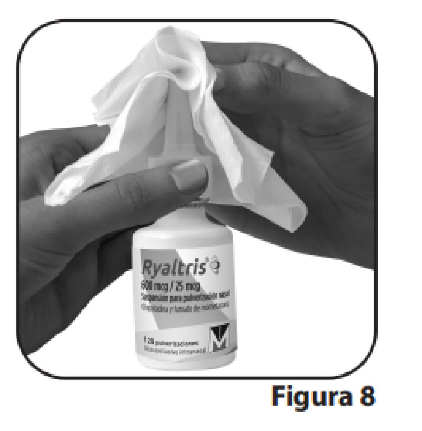 Ryaltris Instruciones 08
